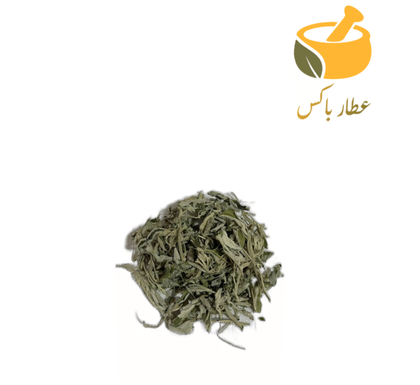 مریم گلی - Image 1