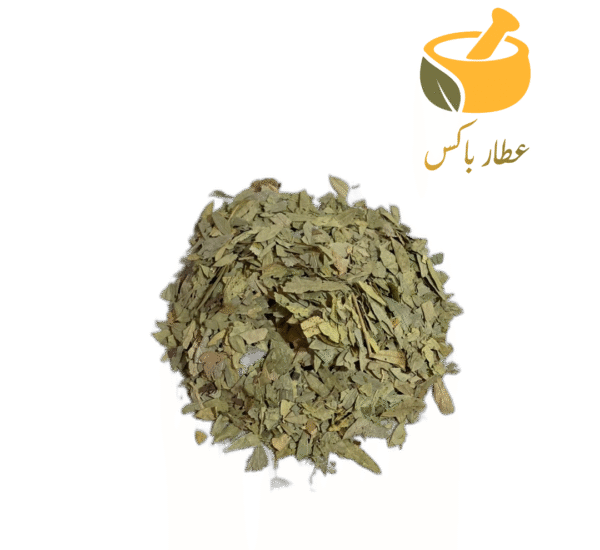 برگ سنا - Image 1