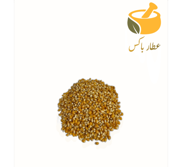 ذرت امریکایی - Image 1