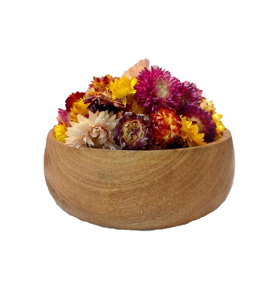 گل مینا گل مینائی - تصویر 1